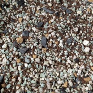 Coco-Char Mineral Substrate for Slow Growing Cacti!