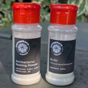 Antibacterial Rooting Hormone + No Rot powder Combo