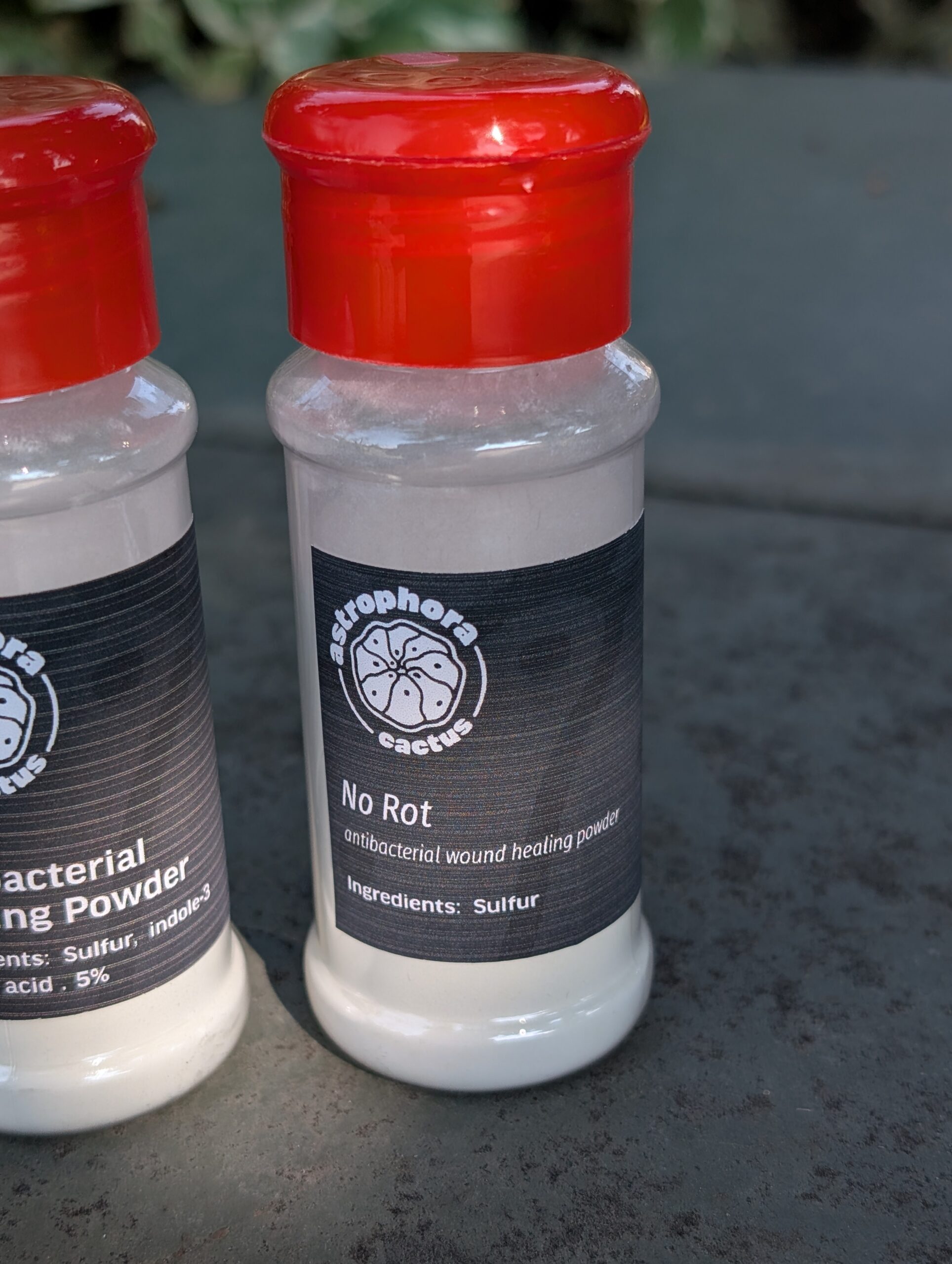 No Rot Antibacterial Wound Powder for Cactus Cuts